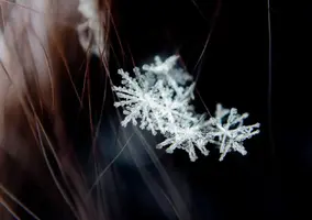 485072CC-D55A-4E3E-8429-6EA4B059F831.webp
