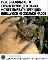 554911AE-9D6D-4D1E-874B-E037A0EB8638.webp