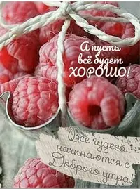 cfc75bb8d09149c724303eaee9f5ffa0.webp