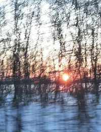 65236_Gallery.webp