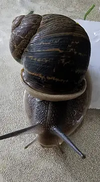 20230210_001447.webp