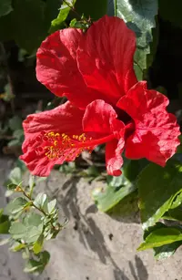 20230210_140509.webp
