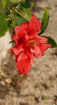 20230210_140229.webp