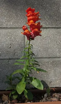 Screenshot_20230210-192754_Gallery.webp