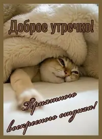 c4635bce413c6e5140fa2f38f50005be.webp