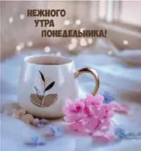 CE0388D3-F56F-44D0-8DF6-34EAAEDD50FC.webp