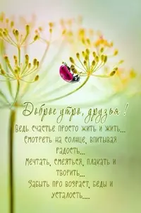 2de283c330e89590326481ad15da6e4d.webp
