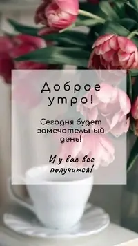 9BD47820-6B8D-47BB-953E-24CCFA9C224A.webp