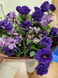 Screenshot_20230216-225009_Gallery.webp