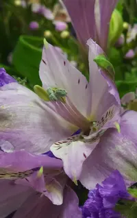 Screenshot_20230216-225035_Gallery.webp