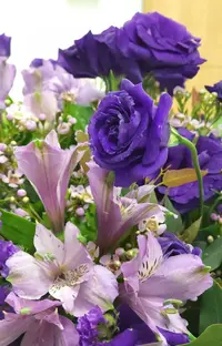 Screenshot_20230216-225045_Gallery.webp