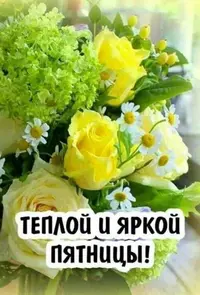 1F6CA563-5D28-4037-9E5F-FDAD471570C5.webp