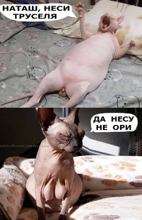 1676607166755.webp