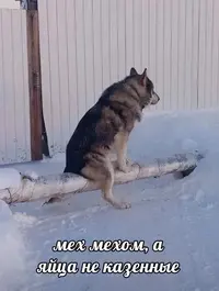 K9TTnJDku9I~2.webp