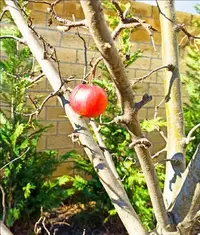 IMG_20230218_191534.webp