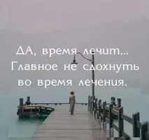 tJhDG8YPjSw.webp