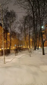 IMG20230219202900.webp