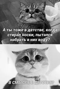 78087293eafd727240637018ebb5abd9.webp
