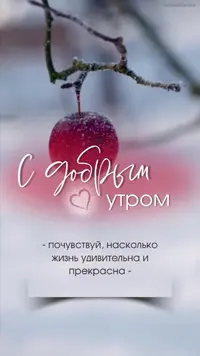 03526B7E-F8F0-4381-8D29-EA1B8B2D639B.webp