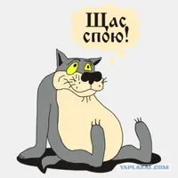 pic.webp
