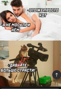 Screenshot_2023-02-25-10-35-32-40_21da60175e70af211acc4f26191b7a77.webp