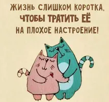 5890.webp