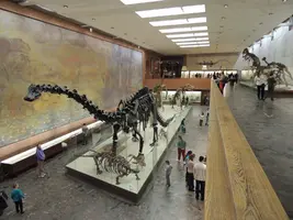 DSCN5443.webp