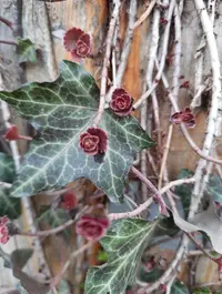 172848_Gallery.webp