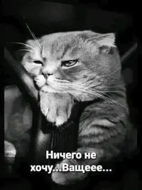 uDWlXQibuyk.webp