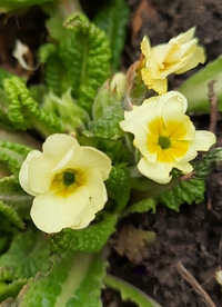 123541_Gallery.webp
