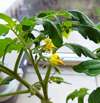 IMG_20230228_171726.webp