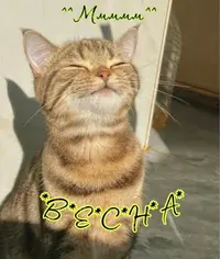 CXFHcQr7ghc.webp
