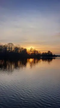 compressed_1677746645212.webp