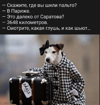 Screenshot_2023-03-02-15-29-41-42_21da60175e70af211acc4f26191b7a77.webp