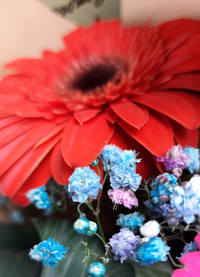 5445_Gallery.webp