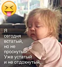2agNtS_vZ-s.webp