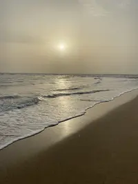 61B4B60D-F729-4E0D-8C80-38EEA77FC851.webp