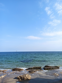 IMG_20230303_151700.webp