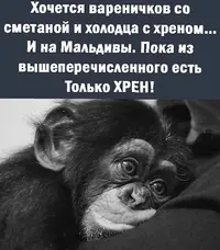 HQARoubc-98.webp