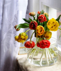 081037_Gallery.webp