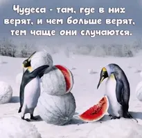 -1UgKbYCUAk.webp