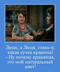 7173238.webp