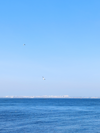 IMG_20230304_202335.webp
