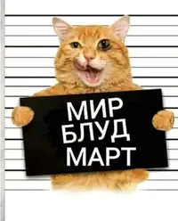 FbN38jM8SLs.webp
