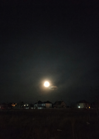 IMG_20230307_203756.webp
