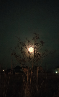 IMG_20230307_192723.webp