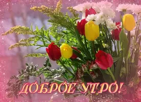 i.webp