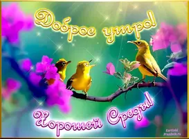 IMG-20230308-WA0021.webp
