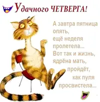 sIED_B0DPnA.webp