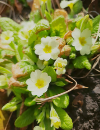 797141_Gallery.webp